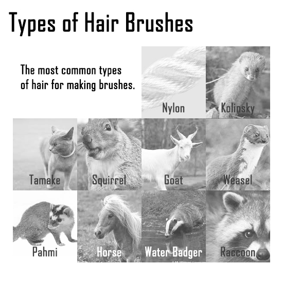 Makeup Brushes Hair Usage Differences